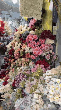 - [x] الشورجه.شارع الجمهورية عمارة الكناني للتواصل الأتصال واتساب من 8صباحآ الى 3 ضهرا البيع جمله فقط ***********

https://www.instagram.com/jawadeen.rose?igsh=MWJiZGU5aGt2em5vbA%3D%3D&utm_source=qr
