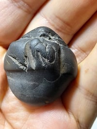 حجر سلطاني • طبيعي • حلة بابل