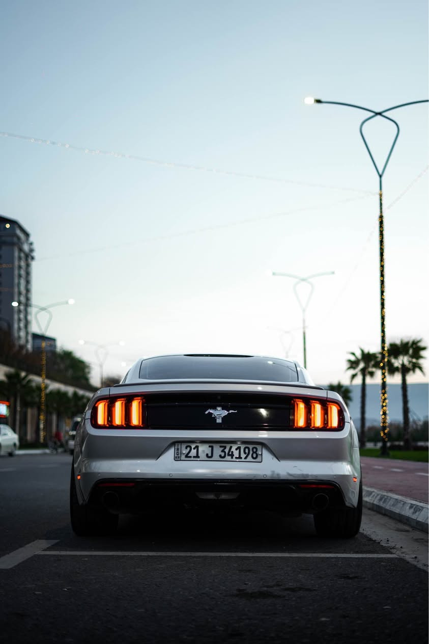 Ford Mustang 2016 V6

مكان السيارة : السليمانية 
السيارة باقية ع وضع الشركة
ماشية  ٩٧ الف
سبويلر بلادي
بلجكترات بلاد
‏LED اوراكل سموك
دواخل السيارة كلش نضيفة
اضافة شفتات استيرن اسود
السيارة نضيفة و مابي مصرف
سستم صوت صالنصة HT power
ويالة فوزن 20 تو سايز
سيرفس جديد
دهن مكينة و كير جديد مبدل
دسكات جديد
صبغ : قطعتين بخ ، بنيد و نص جاملغ خلفي صبغ
السيارة بسمي 
سعر السيارة ١٤٨$
واتساب : ***********

Shwen : slemani 
 
* Lasar daqy belad mawatawa
* 97 hazar roshtwa
* Bali beladi
* Blajktor belad 
* LED oragly smok
* Nawaway sayaraka zor jwan w pak mawatawa
* Battle-shift rash
* Sayaraka pak w be masrafa
* System sawty salonsa HT power
* Wheel VOSSEN 20 y 2 size
* SERVICE y taza bo krawa
* Roni makina hydraulic y ger hamw shteki taza bo gorawa   
* Banawi xomawaya

Boyax : 2 chamlxi pesh pampa ,bonit  + new chamlxi dwawa boyaxa .

Banawi xomawaya

Nrx : 148$
WhatsApp : *********** السليمانية, العراق
