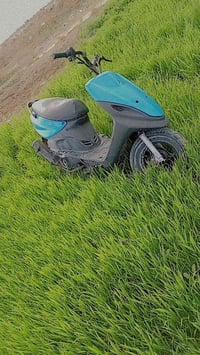 ماكس منغولي للبيع لستفسار ٠٧٨١١٣٩٨٨٢٦