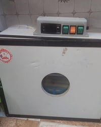 مفقس ١٣٠ بيضه • تقليب اوتوماتيك • نضيف شغال