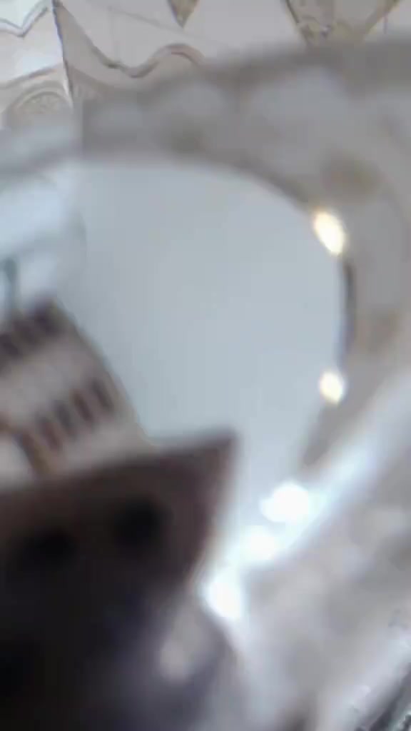 سلام عليكم دراجه اربعه كير مويل 2024 محرك 2021دراجه نضيفه وحلوه اوراق سكنر مكفوله   سعر 600بيه مجال لشراي بيخير ودلل وهذه رقمي  ‏‪***********‬‏
