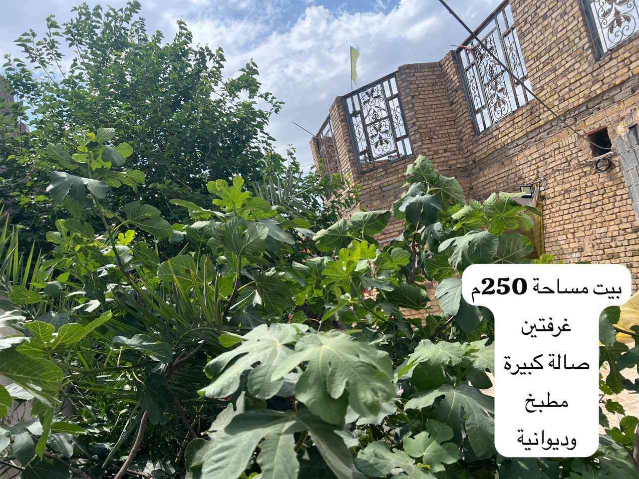 🏠 بيوت للبيع في قرية ال كاظم
بيوت الحاج فليح فهد واولادة 

تقع على الشارع العام الرئيسي

🔹 البيوت معروضة للبيع جميعها وليست بيتاً واحداً فقط

📞 للتواصل والاستفسار:
أبو جعفر محمد فليح
***********
