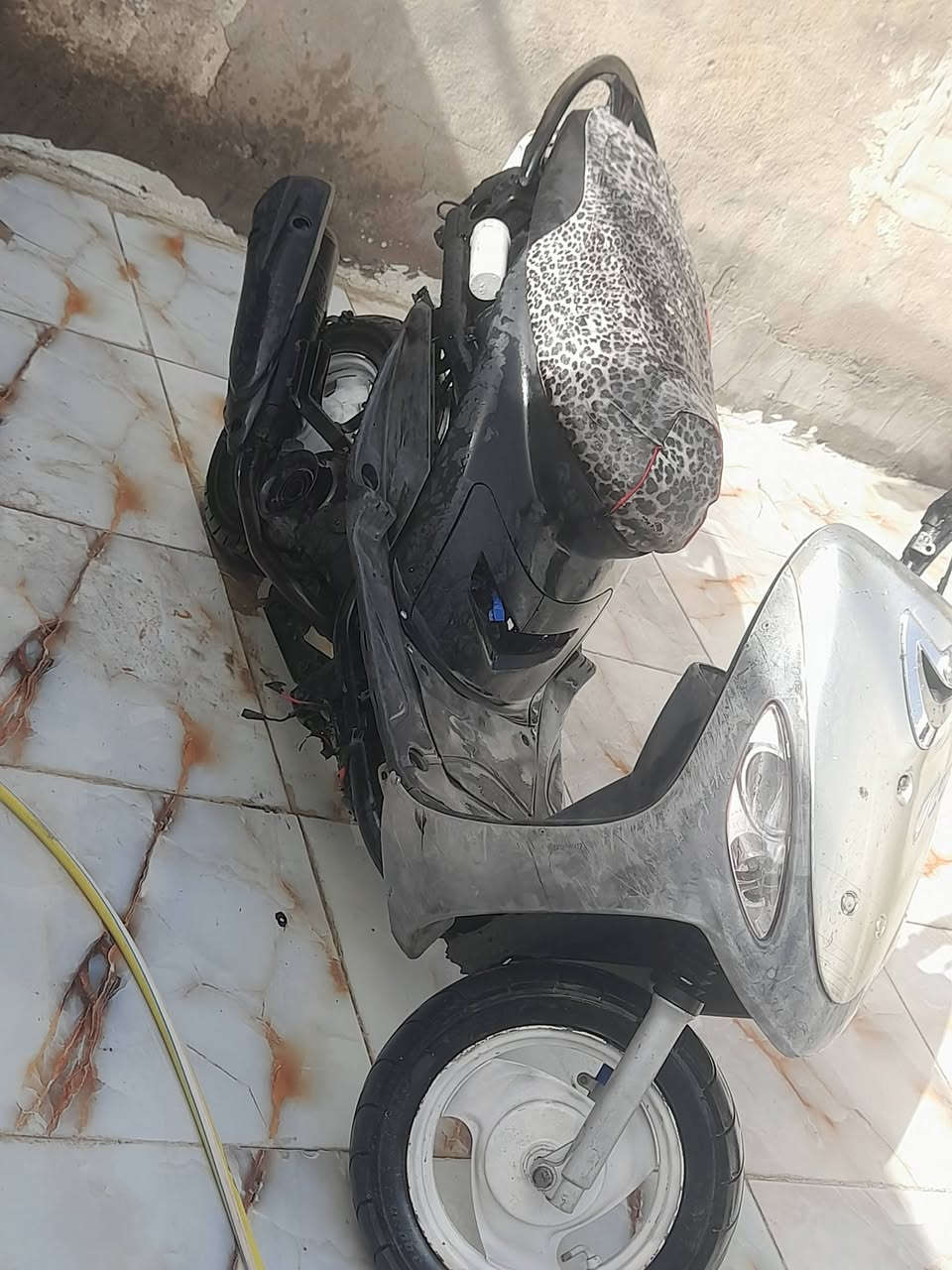 ماكس منغولي مفتوحه ولفات فقط للبيع ناصريه مركز ***********
