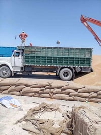 سيارة ليجار نقل لحب عل سايلو عنة 07831675417