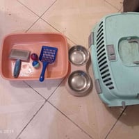 للبيع مطلوب 20الف للتواصل 07519601324