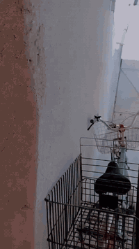 بيت تجاوز للبيع خلف مستوصف حي التراث للإستفسار ***********
