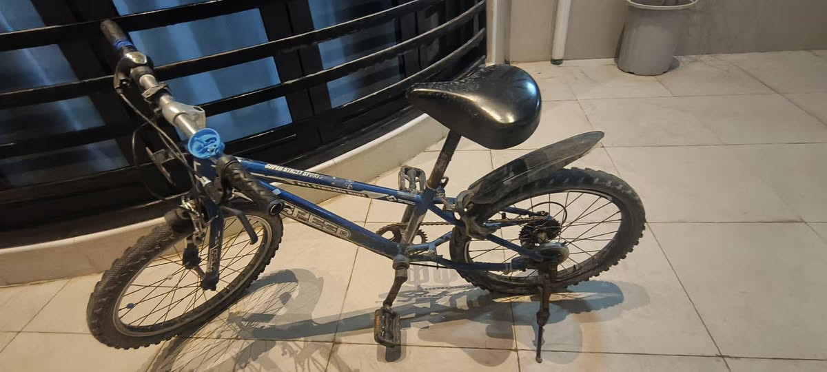 بايسكل للبيع كربلاء طويريج السعر 60 وبي مجال الأستفسار خاص او على الرقم ***********
