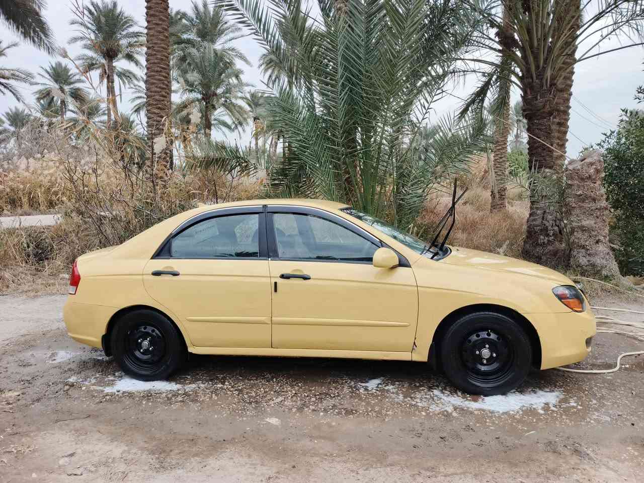 السلا عليكم سبكترا للبيع مديل 2009
سنويه ماساقطه مصفره هئيه ومرور مداور ثاني يوم 

مكينه وكير وتخم تاير وكهربائيات كله جدد 

حداديه اماميه جديده الخلفيه بيه بس شموع 

وارد امريكي حادثه بس بنيد مبدل
 بدون دواخل والباقي ليبل واحد

 مكاني كربلاء طويريج السعر78وبيه مجال

*********** بي واتساب
