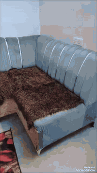 قنفات اخو الجديد بيع مستعجل ***********
