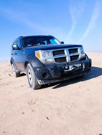 دوج نترو دبالى  بدون ضرر ولا صبغ بيهة شوية بارد بدون تعديل او صبغ سنوي...