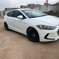 الانتره • ٢٠١٧ • رقم اربيل