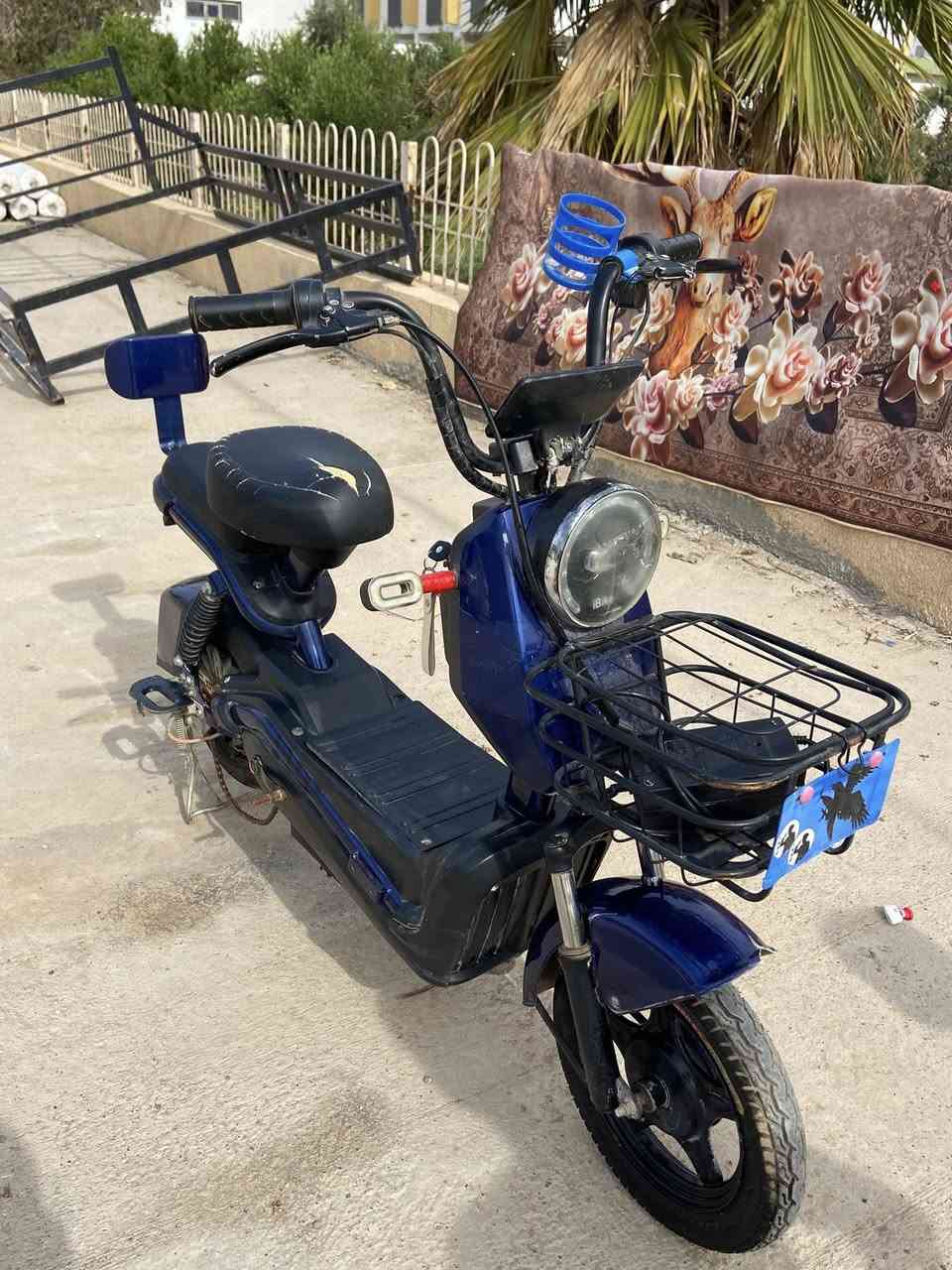 سلام عليكم
باسكل شحن للبيع 

موصفات فول

سويجً نسخه وحده

نضافه فول كما موضح في الصوره

أربع بطاريات

مع شاحنه شغاله

الخلل

قاعده الشاشه مكسوره

باسكل شغال اي نقص مابي

مكفول من كلشي

سعر 200 وبي مجال

للاستفسار على خاص او على رقم

***********

بي واتساب
