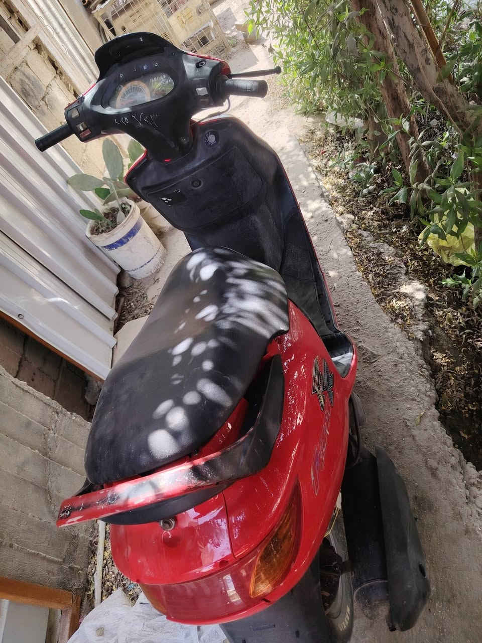 سلام عليكم فراشه فحل دسك للبيع مكينه مكفوله سلف بلادي دراجه ماشيه١٧ الف دراجه نعومه فول نقصه فقط كابريتر تعبانه سعرهه ٤٠٠ وبيه مجال بصيط عنوانه حله ابي غرق حي السلام


**إذا كنت صاحب هذا الإعلان وتريد حذفه لأي سبب، رجاءا أرسل رسالة إلى الدعم الفني**