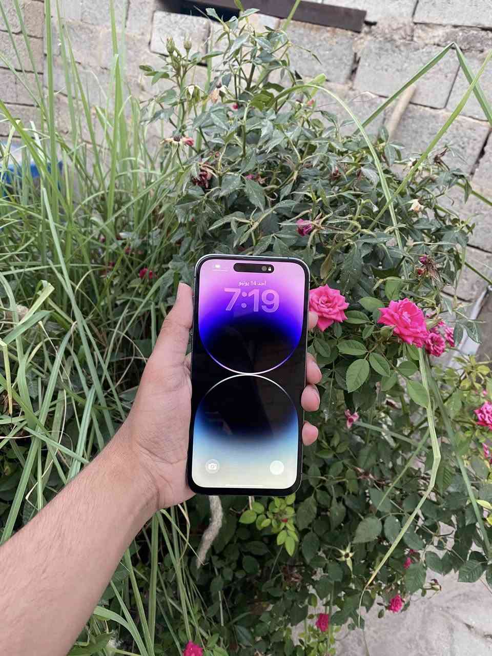 14 برو ماكس 
جهاز نضيف فقط مستبدل شاشه وبطاريه اصليات ذاكره 256 تك سيم فيس ايدي شغال السعر 525 وبي مجال شراي خابرني ***********

