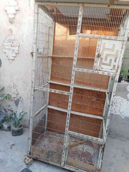 قفص البيع ***********
