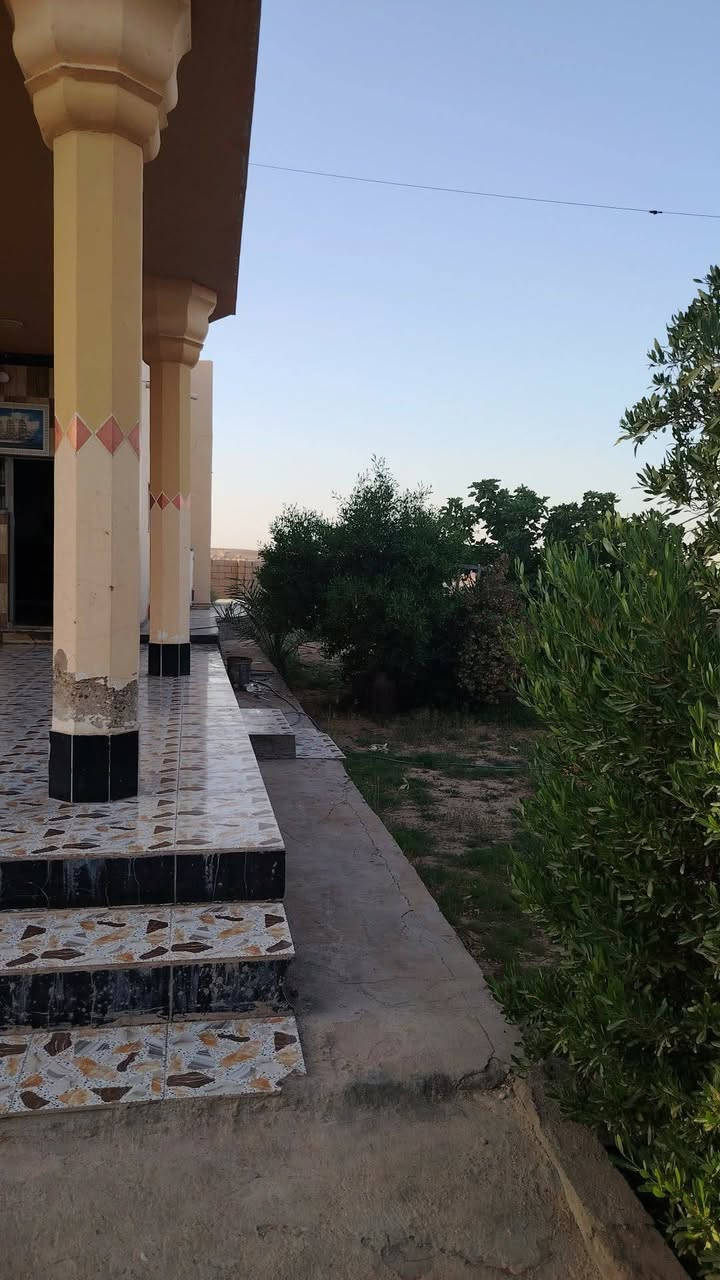 السلام عليكم بيت للبيع مساحته 800 طابوا في الانبار قضاء هيت ناحيه الفرات السعر والتفاصيل على صاحب الدار الرقم ***********
