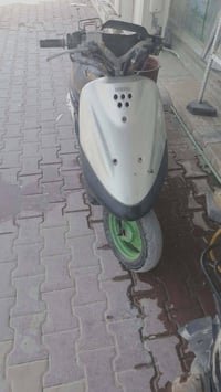 منغولي • ماكس • مامفتوحه