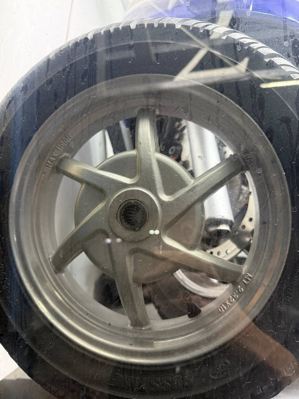 سلام عليكم صدر ويل ماكس  غراض مل رمبه مكفول من النضوح وطسه مكان زعفرانيه ***********
