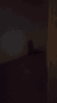 شقة للايجار • حي اور • قرب كراج كربلاء