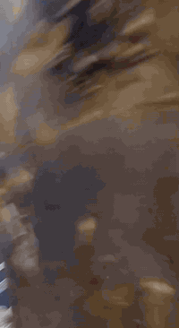 دار زراعي • ١٢٠م • أبي الخصيب