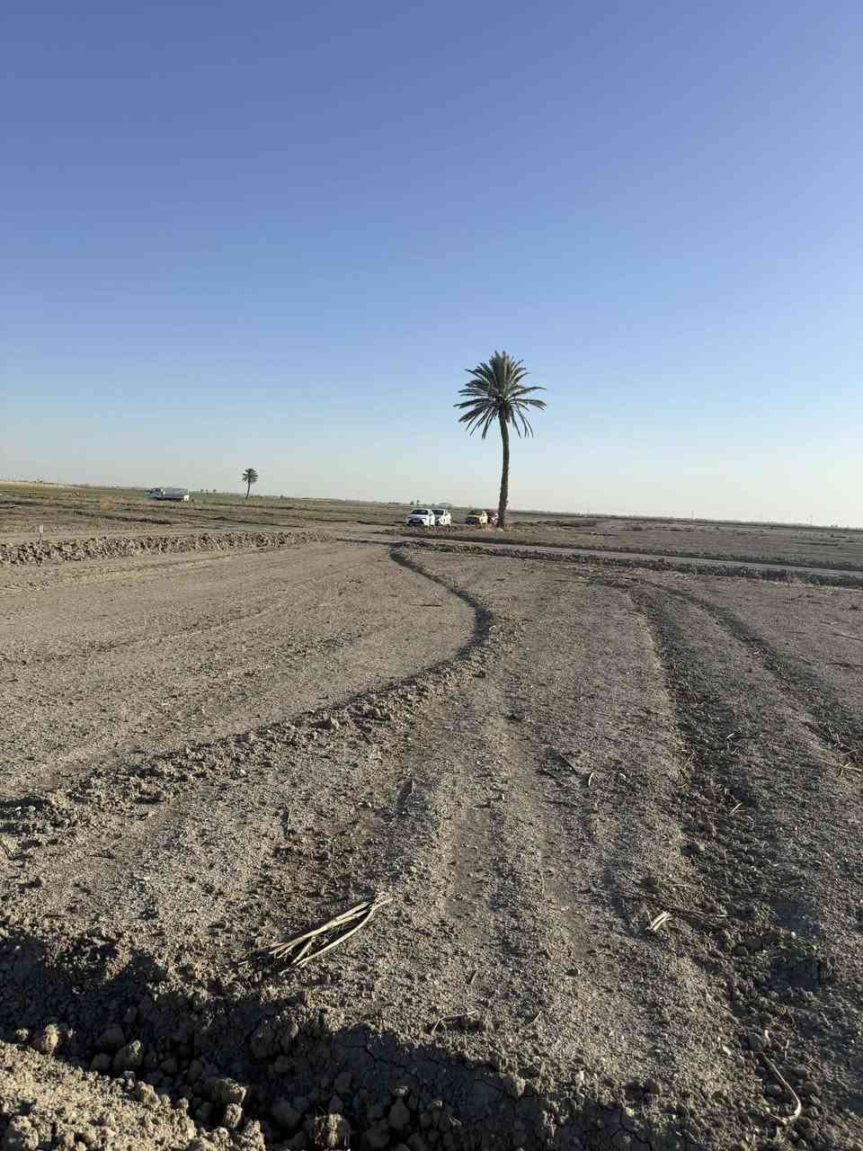 فرصة استثمارية قرب طريق التنميه العرض مالته 500متر ومرتسم   التنميه موجود

المساحه الكليه للارض 27 دونم سند مستقل 
داقطع وابيع شي اصولي وتثبيت حدود لكل دونم 
السعر 9 مليون للدونم الواحد ابيع دونم دونم 

بغداد التاجي ذراع دجله سبع البور العيساويه تبعد عن بوابة كاضميه 35 دقيقه عدل 📍
المشترين كلهم من بغداد بدأت نضام مزارع واستثمار

أي استفسار *********** بدون وسيط 
هذا صور ارض
