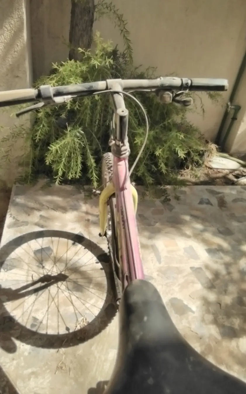 بايسكل للبيع ب 60 بيه مجال شوي بس بيه مشكلة لما تمشي يبدل كير من حاله الكير الخلفي شغال  والكير الامامي شغال بس ما بيه القطعة اللي تبدل بين الكيرات


**إذا كنت صاحب هذا الإعلان وتريد حذفه لأي سبب، رجاءا أرسل رسالة إلى الدعم الفني**