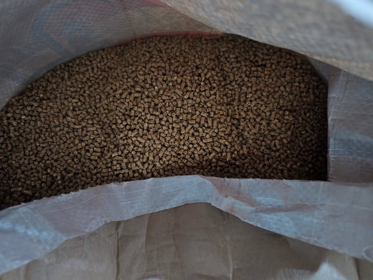 بفضل الله توفر 
علف تاج وباج 👑علف درجة اولى
توفر بثلاث مراحل 
المرحلة الاولى 
المرحلة الثانية 
المرحلة الثالثة 

و #أنا_أنافس_نفسي_فقط و #لا_أنافس_أحد 👨‍🌾🌕🌕
الزراعة ليست مجرد عمل، بل هي حياة تنبض": تعكس ارتباط الإنسان بالأرض كمصدر للغذاء والجمال🥀

#للطلب والاستفسار مراسلة بريد الصفحة 👍🏻 او الاتصال على الارقام التاليه 
*********** واتساب 
***********اتصال 
اوقات الدوام من الساعه 9 صباحا الى الساعة 11 مساءا 
الجمعه فقط الصبح نفتح العصر عطلة  رسمية 🙂

#بإداره_عمار عمر  الخليفاوي ✔️🟠

#عنواننا :
#الأنبار_ الرمادي _الخالدية شارع_ ابو فليس_ نزلة ابو فليس 800 متر على اليسار 👈 مقابل_ صيدلية_نور _الشفاء✔️✅✅

اللهم 🤲🏻 لا تحرمنا من خمس، سترك، ورزقك ، وعفوك، ورضاك، وحسن الخاتمة."... يارب 🤲🏻 
طيب الله اوقاتكم بالخير و تآلف القلوب

#زورونا وستجدون الافضل👍🏻.
