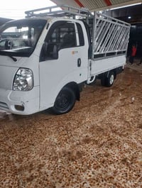 ٢٠١١ • نينوى • رقم دولي