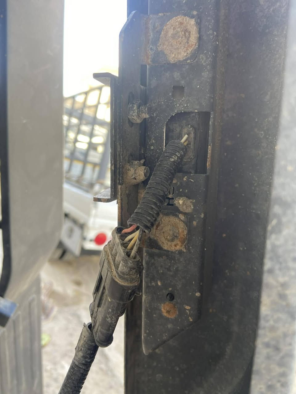 البيع دعاميه عدد ٢ ام الد مال فحل اصليه ودرع امامي ***********
