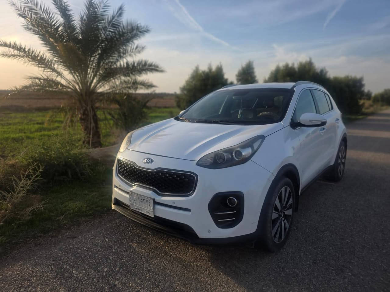 كيا سبورتج
موديل ٢٠١٧ 
خليجي محرك ٢٤٠٠
 بصمه 
حساسات امامي خلفي 
كشنات قرميدي 
مانع انزلاق  
رقمها بغداد وبأسمي
السياره رايدها ب ١٧٨  و بيها مجال بسيط
مكان السياره واسط
للاستفسار الاتصال على هذا الرقم ***********
