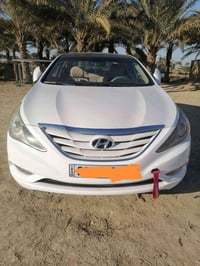 فول خليجي • ٢٠١١ • مشي ٢٥٦الف