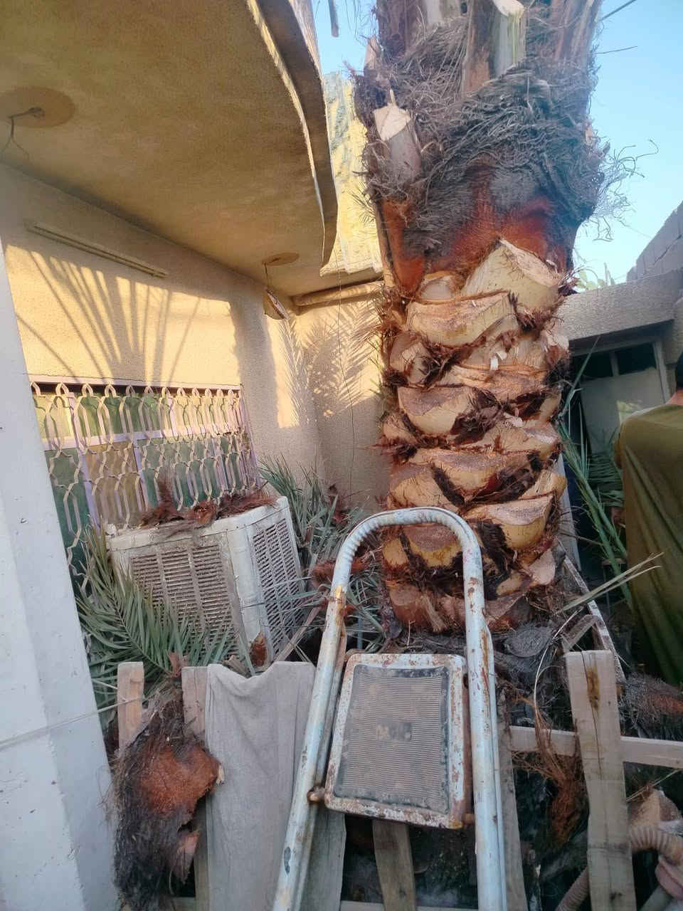 السلام عليكم مستعدون لتقليم وتكريب وتنظيف الاشجار والنخيل العالقة في الكهرباء ويشمل نقل الانقاذ ***********
