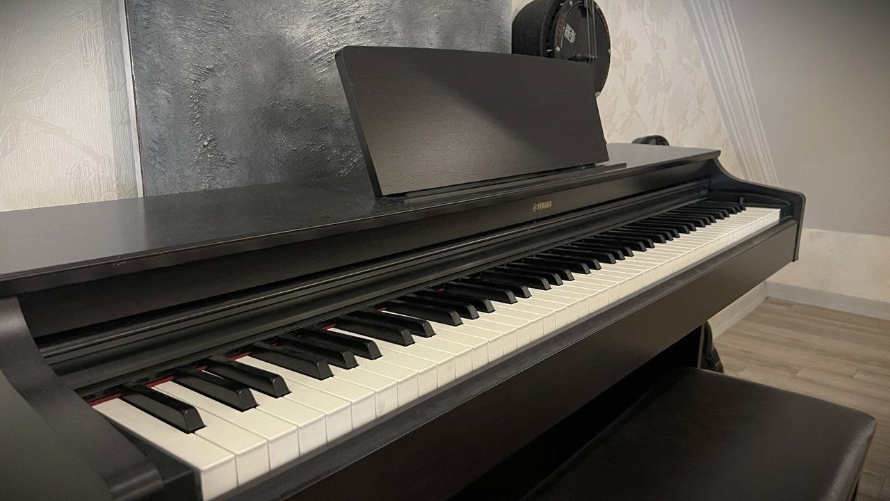 تایبەت بە فێرخوازان و پیشەییەکان. دەنگ و هەستەکەی زۆر نزیکە لە پیانۆی ڕاستەقینە.

تایبەتمەندیەکان:
• ٨٨ کلیل بە کێشی ڕاستەقینە
• دەنگی ڕاستەقینەی Yamaha
• ٣ پێدال
• کورسی Yamaha لەگەڵیدا
• زۆر پاک و بە باشی پارێزراوە
• بە تەواوی کاردەکات

شوێن: هەولێر
نرخ: 1,250,000 دینار أربيل, العراق


**إذا كنت صاحب هذا الإعلان وتريد حذفه لأي سبب، رجاءا أرسل رسالة إلى الدعم الفني**