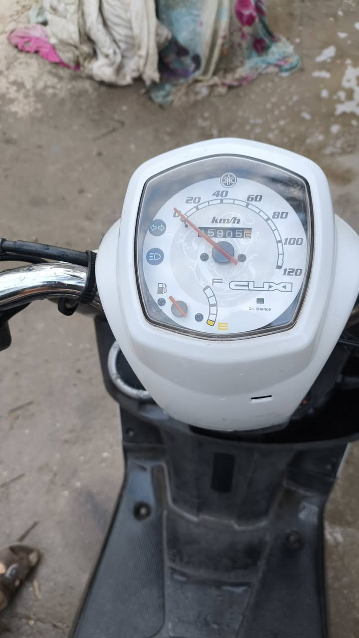 بوليس رمبة
صارلهة 6اشر من طلعتها
السعر 950وبيهة مجال
***********
