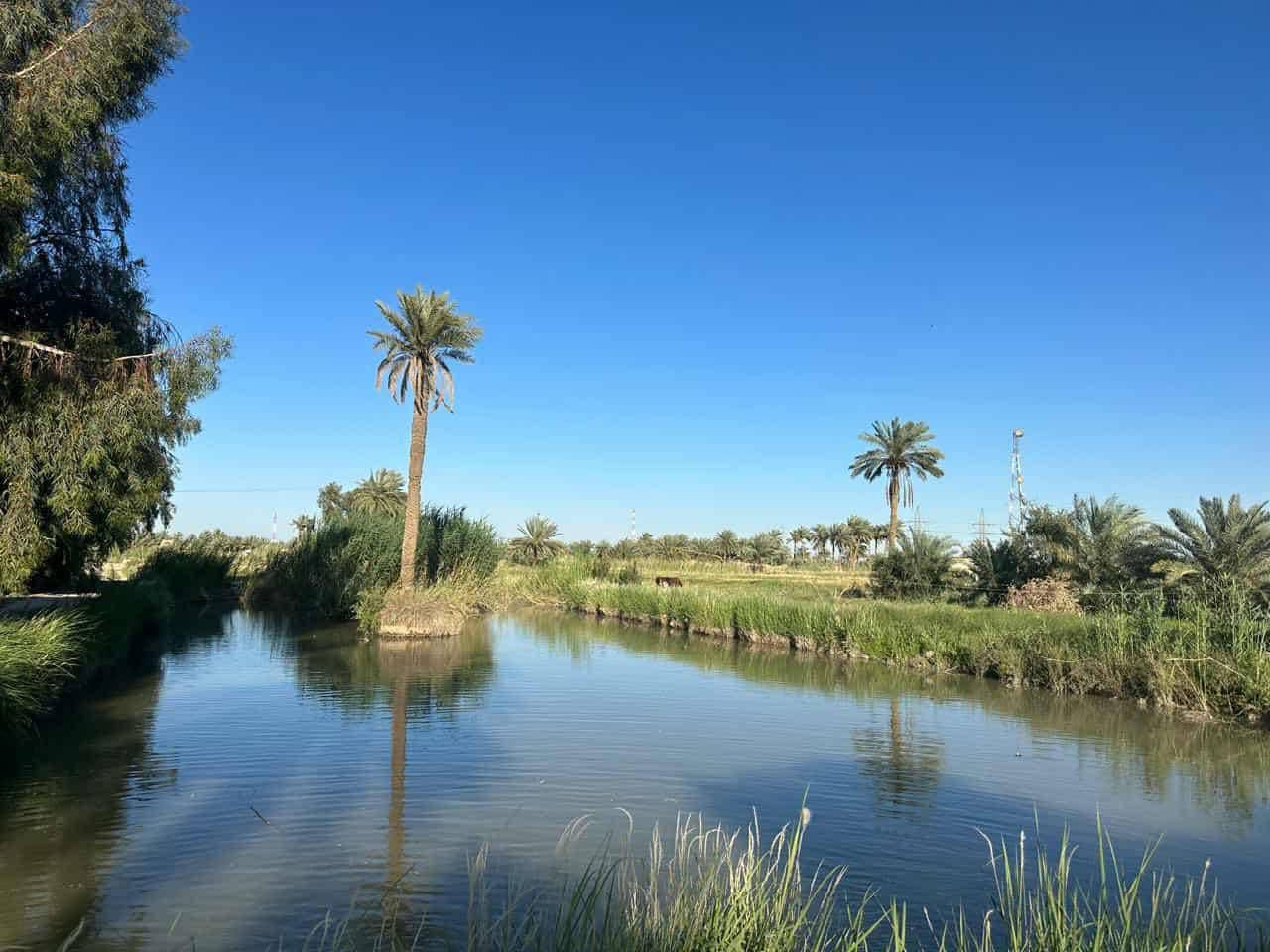 سلام عليكم 24دونم ملك صرف بسم شخص واحد تحويل مباشر بستان عباره عن مزرعه من بحيرات اسماك ونخيل وزرع وبيت ستراحه شي خبل بل عافيه عل ياخذه تنباع شلع سعر دونم 72وبي مجال بابل طريق القاسم الستفسار مراسلت الصفحه ونتصال ***********
