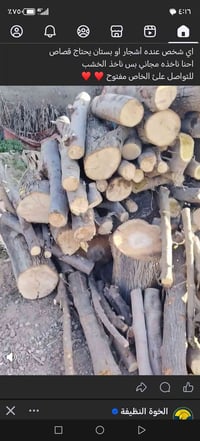 ديكور • خاص مفتوح