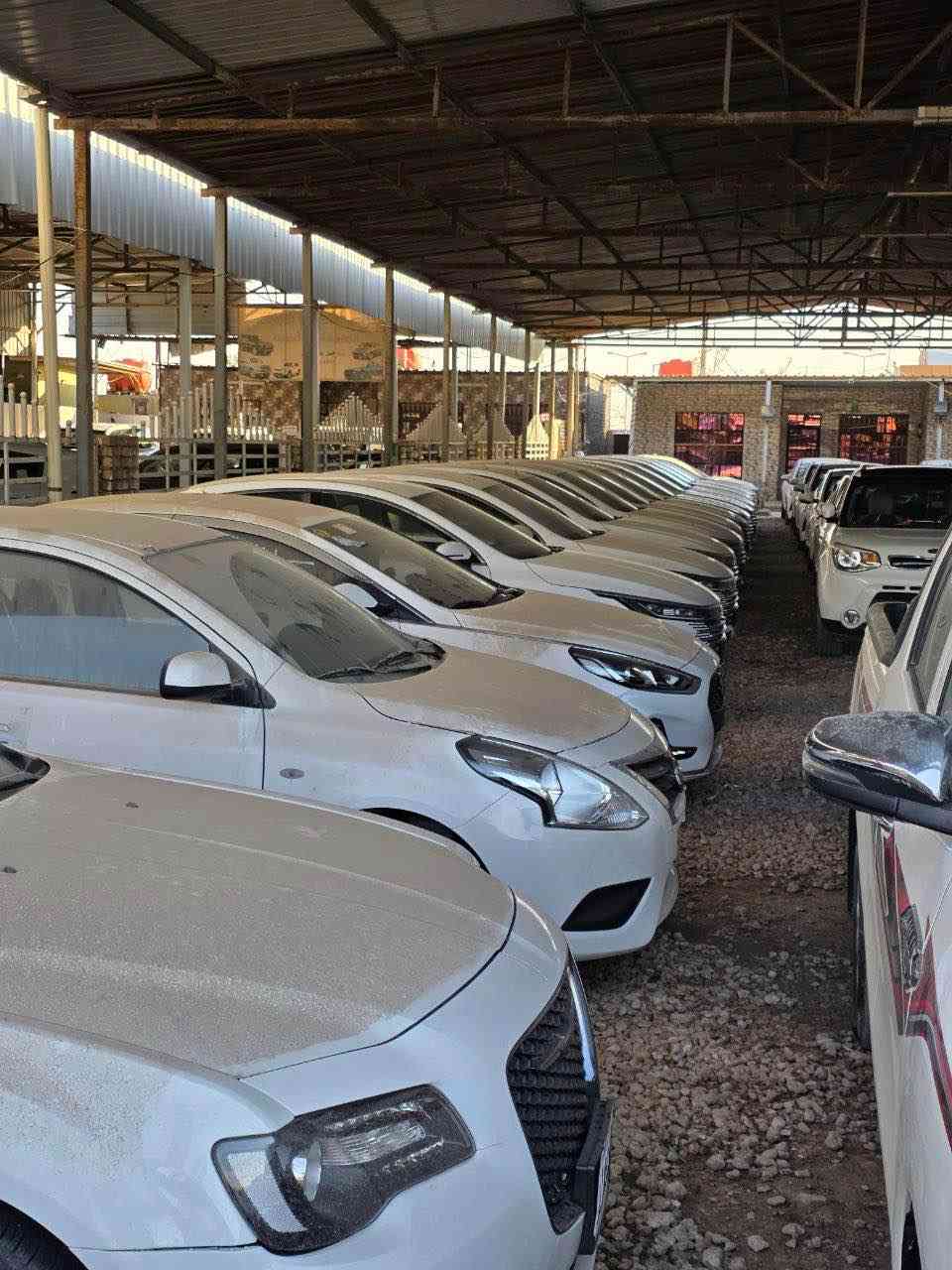 السلام عليكم
تعلن شركة سمير مهدي كاظم لتجارة السيارات 
عن توفر سيارات BYD ديسترويل 2025 لون ابيض زيرو
الموقع بابل الحمزة الغربي 
للاستفسار الاتصال على الرقم
*********** حلة, بابل
