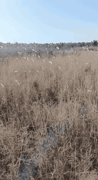 السلام عليكم،، للبيع استفسار ع رقم ***********
