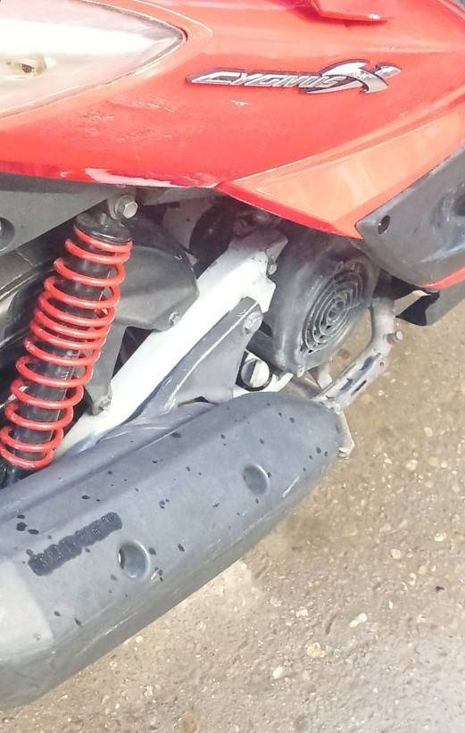 السلام عليكم سكنس فحل نضافه محركها مكفول كهرباءيات شغاله اكل اوراق فقط بيع مكاني بغداد السعر 800رقم الهاتف
***********📞
