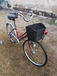 باسكل ياباني • اسبوعين • الطارمية