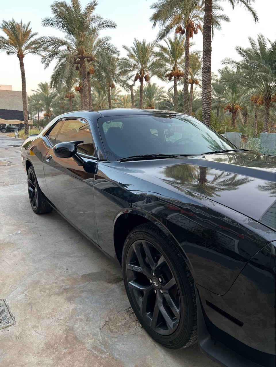 جالنجر ٢٠٢٣ 
تبديل بنيد فقط 
وجاملغين الاماميات بيهن بارد بدون صبغ وراس شاصي تعديل فقط بدون لاسمكره ولاصبغ 
ماشيه ٢٧ الف 
محدثها جيتي من وياله وبنيد ودعاميه 
كشن كهرباء وهيتر بالكشنات
هيتر بالتسترين 
عليها نانو سيراميك
مابيها اي نقص السياره وجديدة كلش 
السعر ١٩٨ وبيها مجال 
مكان السياره ديالى بعقوبه 
*********** بعقوبة, ديالى
