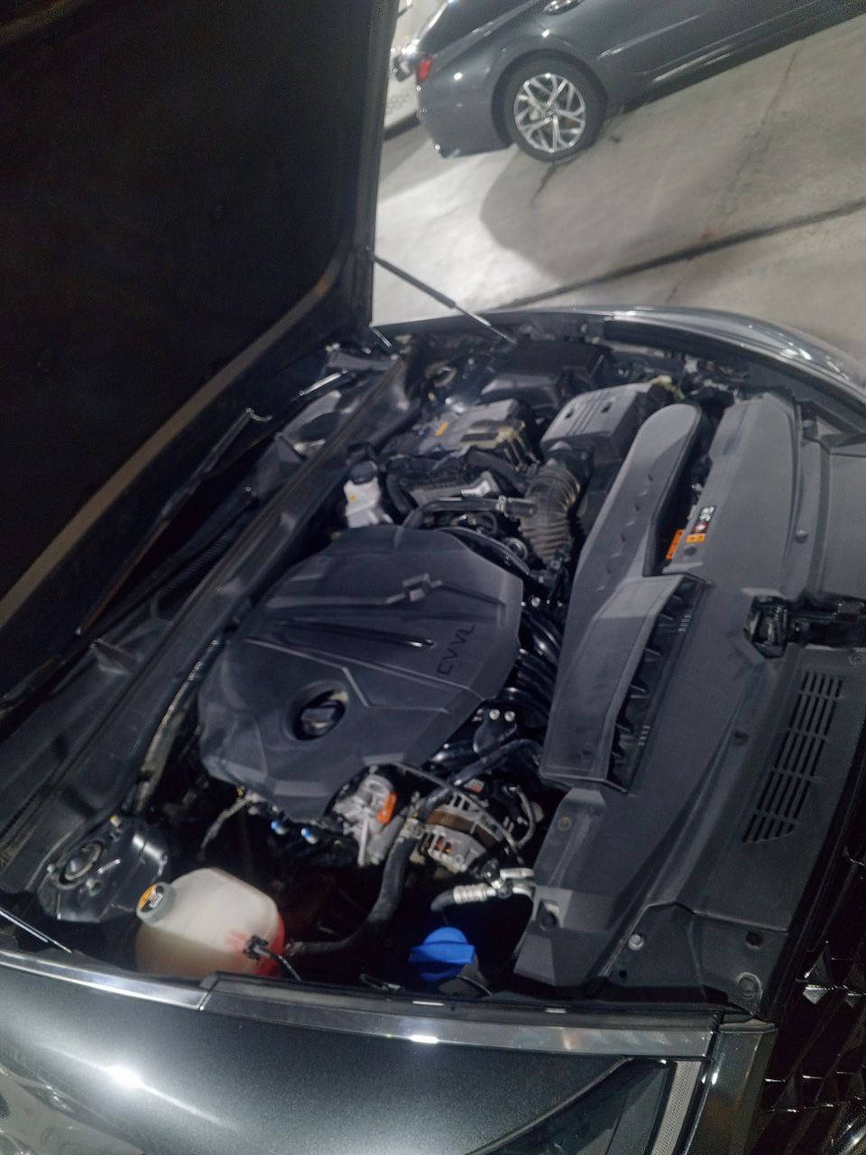 سلام وعليكم
هونداي سوناتا مديل ٢٠٢٣

فول مواصفات 

الوقود بنزين 

بسعر مناسب 

العنوان البصره معارض القبله جهه المشراق 

هـ/***********
