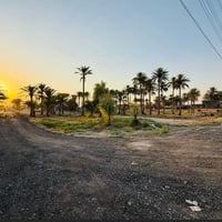 اللبيع 2 دونم عله شارع لعام   بابو غريب السميلات قرب من مزرعت محمد سام...