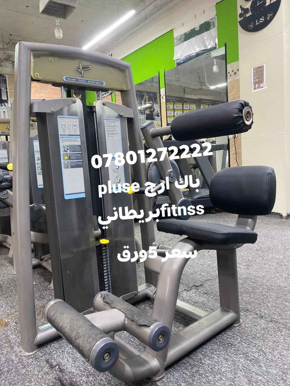 بيع السريع نظل اسعار سعررخيص لمدة الخمصةايام ***********مكان السليمانية
