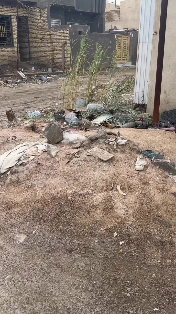 هيكل للبيع زراعي بالمهديه مساحة 140 متر رابع بيت عن شارع رايسي فرع البان الطائي مكانه كلش حلو وصاير حرف T وسعر حلو 

95 وبيه مجال شراي 
 
ستفسار ☎️***********

مكتب التميز للعقار 🏘️
الشموخ قرب جسر المشات 📍

نستقبل كافت عروض 
بيع ✨يجار ✨شراء
او مراسلت صفحه او واتساب نضمام على قنات رابط 👇
https://chat.whatsapp.com/EEmW0nn7V2Z5gWsBHkBmRa?mode=gi_t
