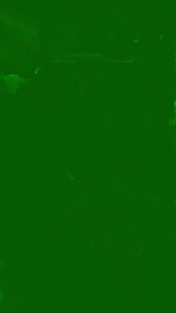 ستاركس ٢٠٠٢رقم بصره السعر ٢٥


**إذا كنت صاحب هذا الإعلان وتريد حذفه لأي سبب، رجاءا أرسل رسالة إلى الدعم الفني**