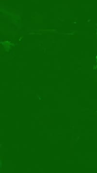 ستاركس • ٢٠٠٢ • رقم البصرة