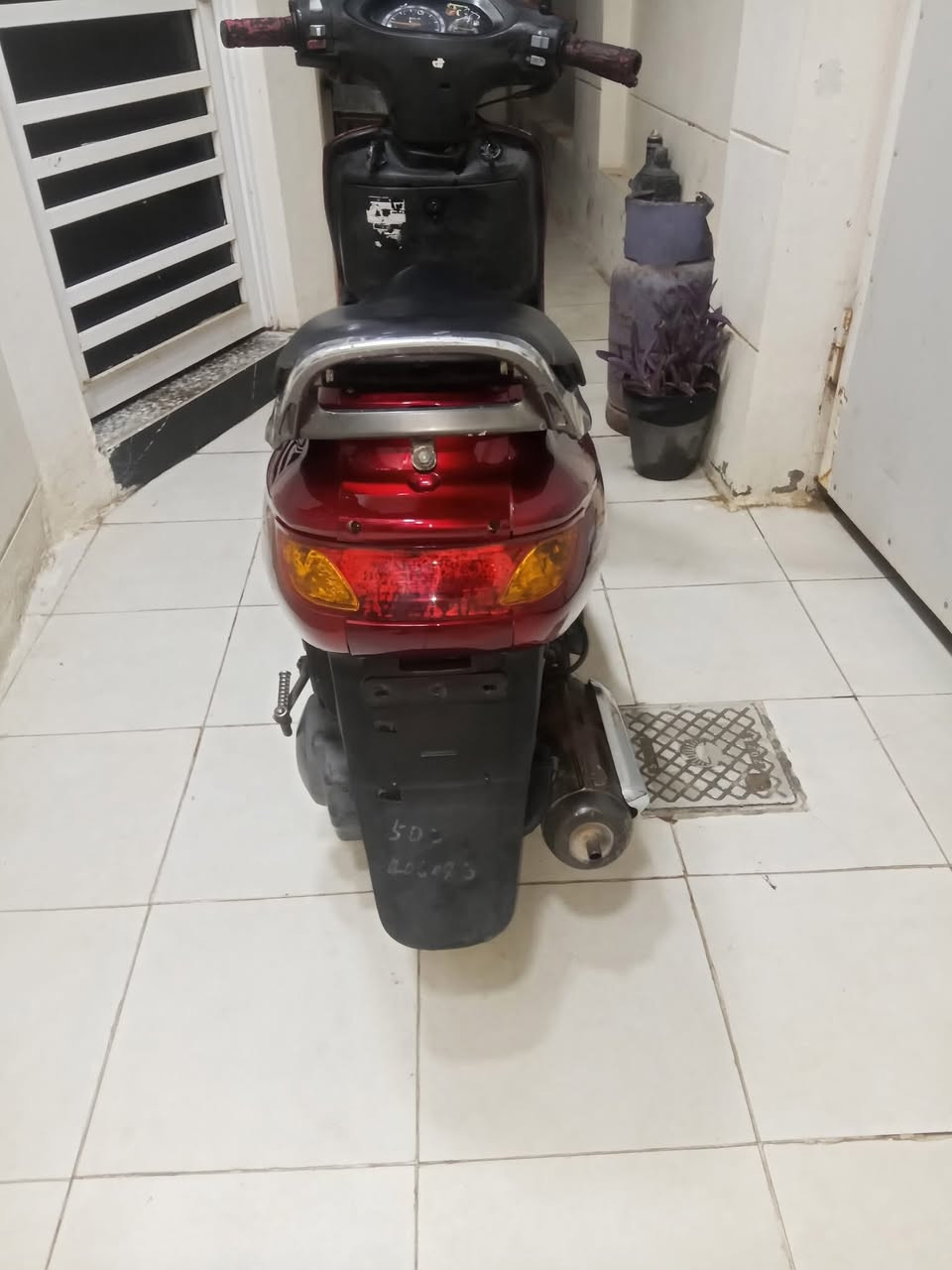 دراجه فراشه فحل للبيع مابيهه اي نقص سعرهه 300 الف ***********
مكانها حله ابو خستاوي
