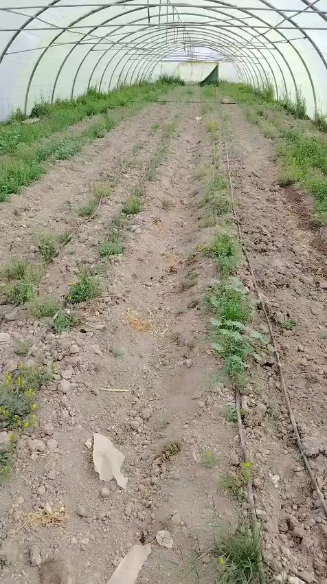 السلام عليكم عندي ثلاث بيوت
النوع لبناني 22 قوس الطول 52 متر العنوان ديالى ***********
